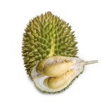 Sầu Riêng Chuồng Bò 1kg