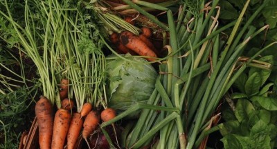 Tiêu Chuẩn Organic Là Gì? Tất Tần Tật Bạn Cần Biết!