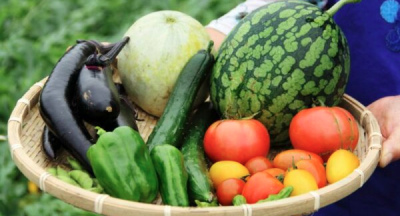 Tại sao nên sử dụng thực phẩm Organic