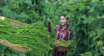 Lợi ích kinh tế của việc sử dụng sản phẩm organic