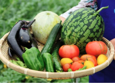 Tại sao nên sử dụng thực phẩm Organic