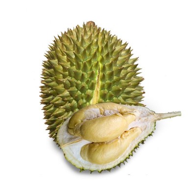 Sầu Riêng Chuồng Bò 1kg