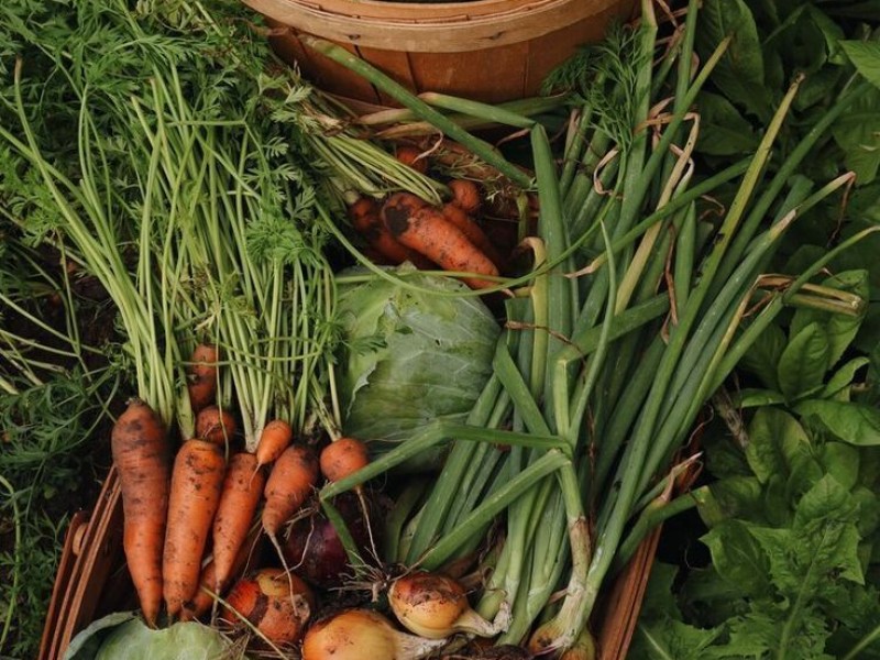 Tiêu Chuẩn Organic Là Gì? Tất Tần Tật Bạn Cần Biết!