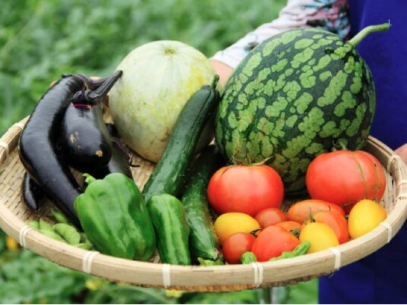 Tại sao nên sử dụng thực phẩm Organic