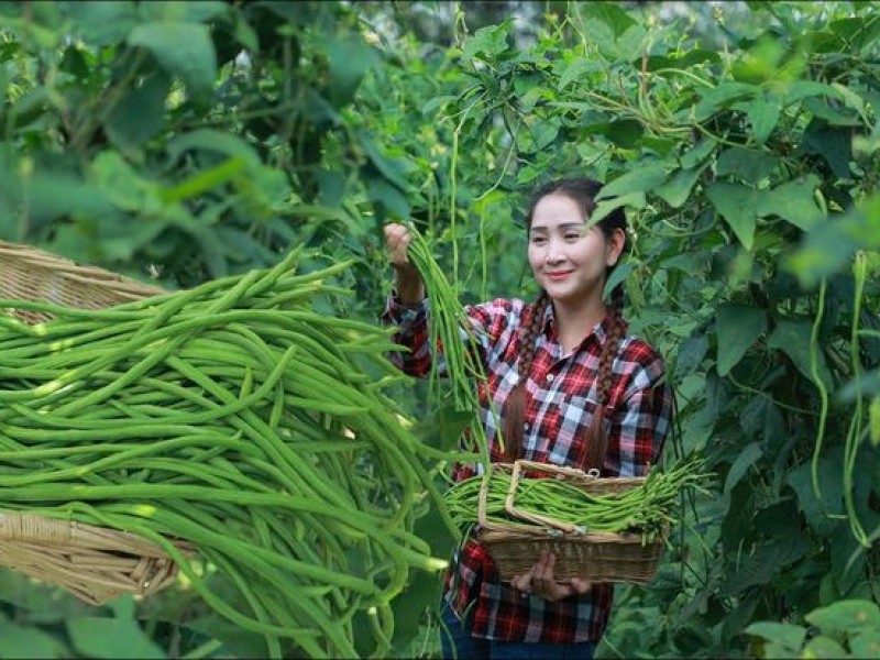 Lợi ích kinh tế của việc sử dụng sản phẩm organic