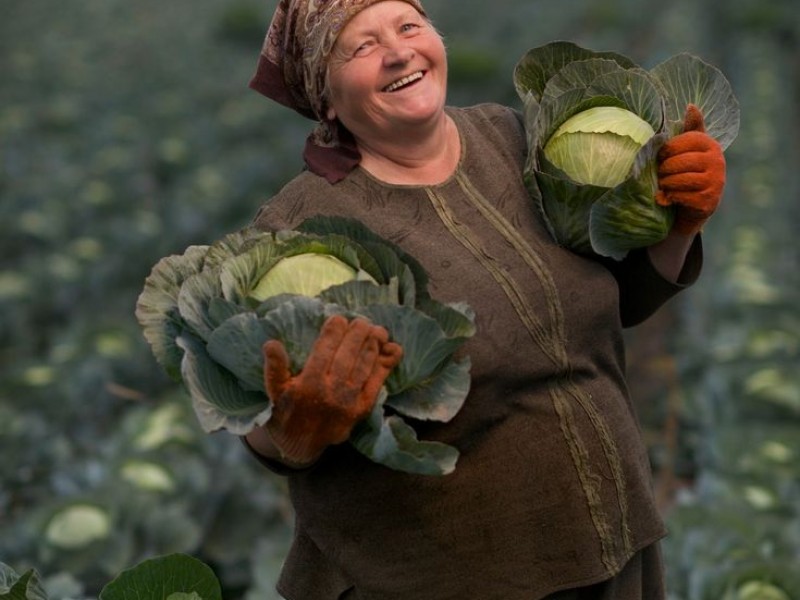 Tác động của sản phẩm organic đến sức khỏe tinh thần: Sống xanh, ăn sạch và cân bằng tâm trí