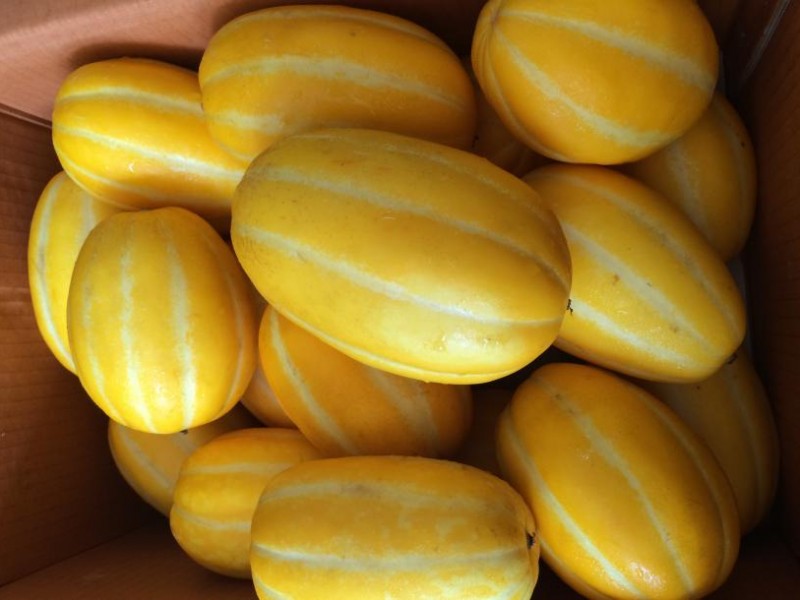 Dưa Lê Hàn Quốc