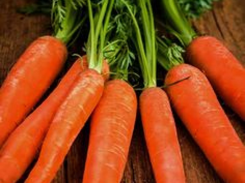 Cà rốt