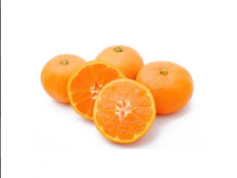 Quýt đương canh (cam canh)