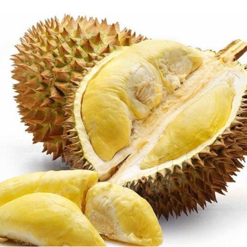 Sầu Riêng Chuồng Bò 1kg