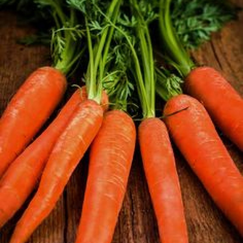 Cà rốt